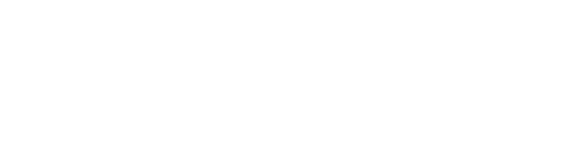 Steev Journey Tapestry of Bold Inspiration